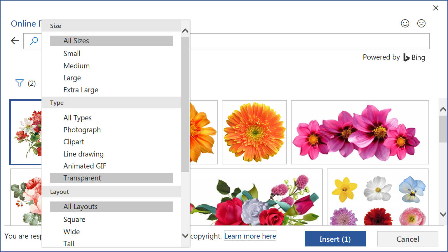 Фільтри пошуку зображень